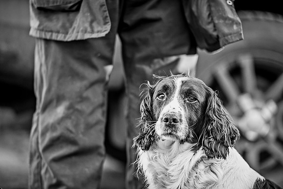 Overbury Beaters Day 2018-17