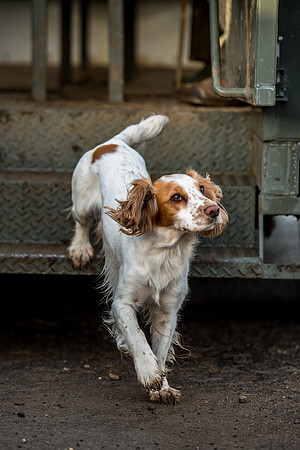 Overbury Beaters Day 2018-24