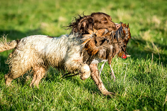 Overbury Beaters Day 2018-72