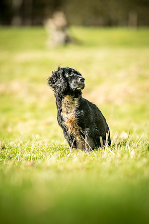 Overbury Beaters Day 2018-152
