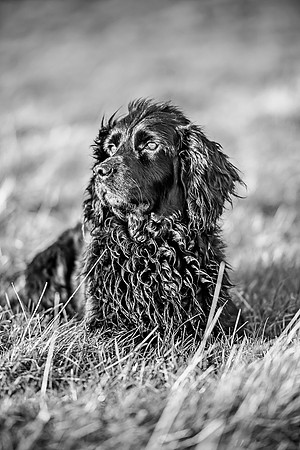 Overbury Beaters Day 2018-67