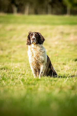 Overbury Beaters Day 2018-151