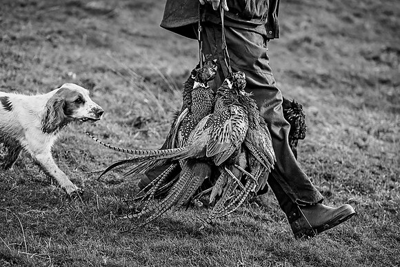 Overbury Beaters Day 2018-200