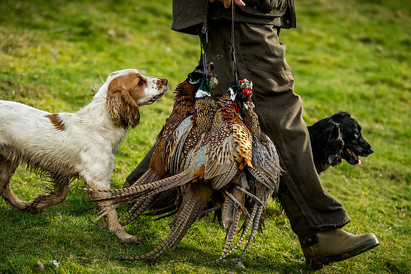 Overbury Beaters Day 2018-204