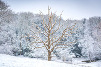 Overbury Snow January 2021-15