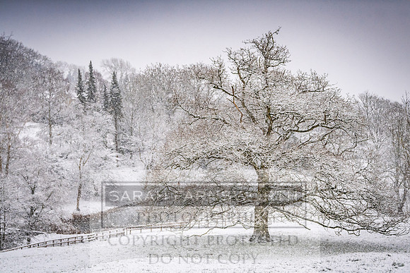 Overbury Snow January 2021-27