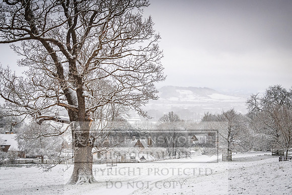 Overbury Snow January 2021-29
