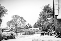 Overbury Snow January 2021-9