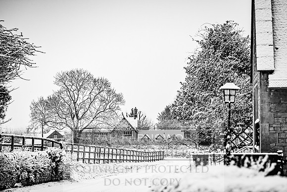Overbury Snow January 2021-9