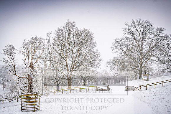 Overbury Snow January 2021-21