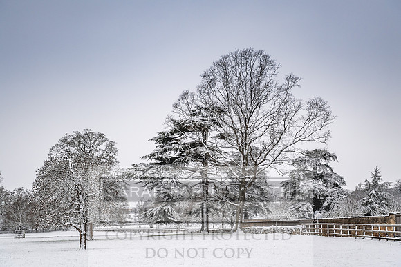 Overbury Snow January 2021-67