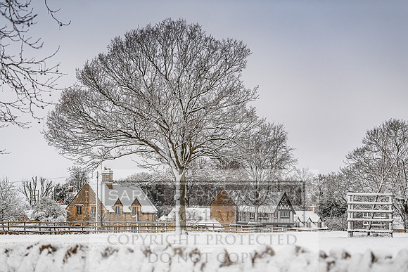 Overbury Snow January 2021-39