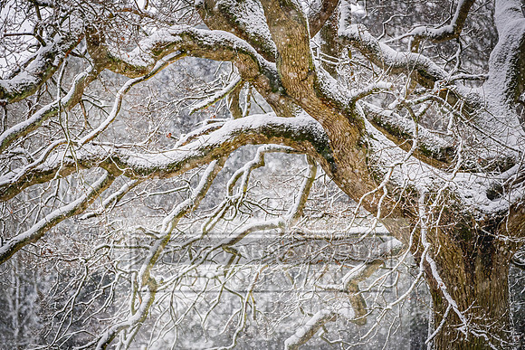 Overbury Snow January 2021-25