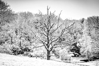 Overbury Snow January 2021-14