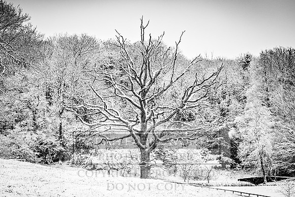 Overbury Snow January 2021-14