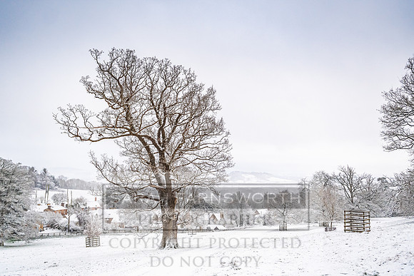 Overbury Snow January 2021-30