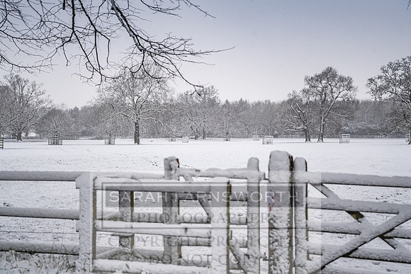 Overbury Snow January 2021-70