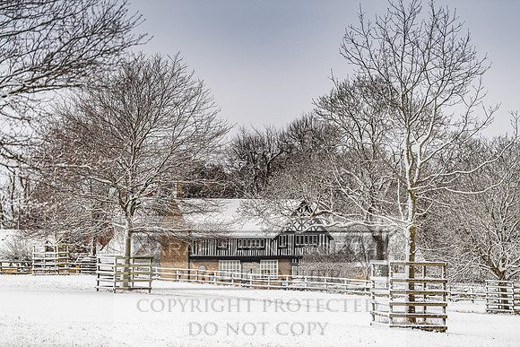 Overbury Snow January 2021-34