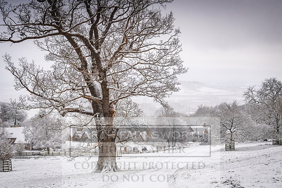 Overbury Snow January 2021-28