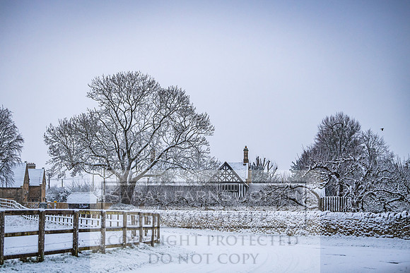 Overbury Snow January 2021-7