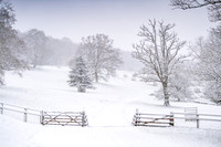 Overbury Snow January 2021-20
