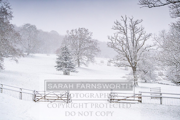 Overbury Snow January 2021-20