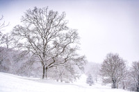 Overbury Snow January 2021-18