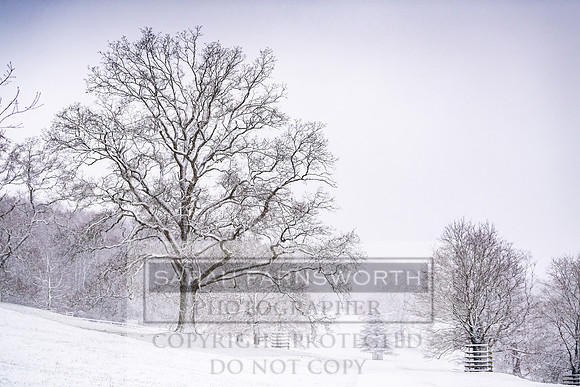 Overbury Snow January 2021-18
