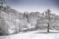 Overbury Snow January 2021-19