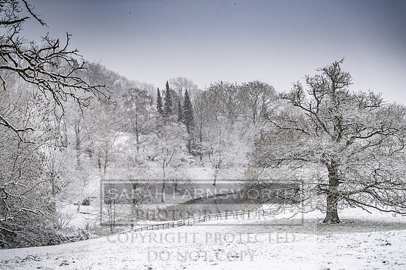 Overbury Snow January 2021-19
