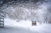 Overbury Snow January 2021-16