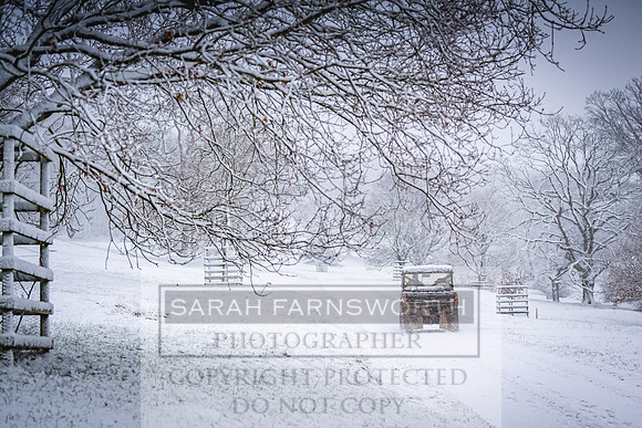 Overbury Snow January 2021-16