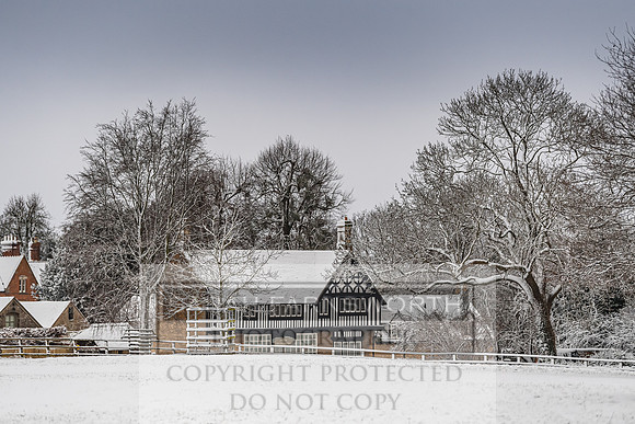 Overbury Snow January 2021-36