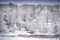 Overbury Snow January 2021-17