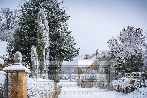 Overbury Snow January 2021-8