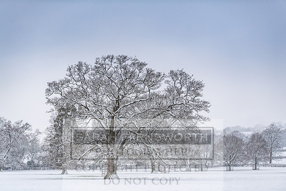Overbury Snow January 2021-73
