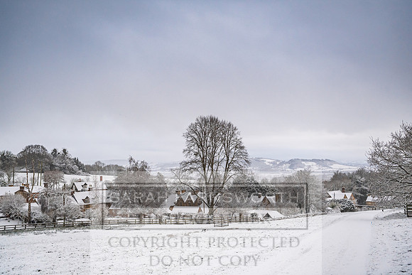 Overbury Snow January 2021-31