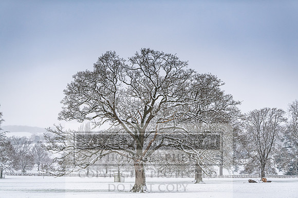 Overbury Snow January 2021-76