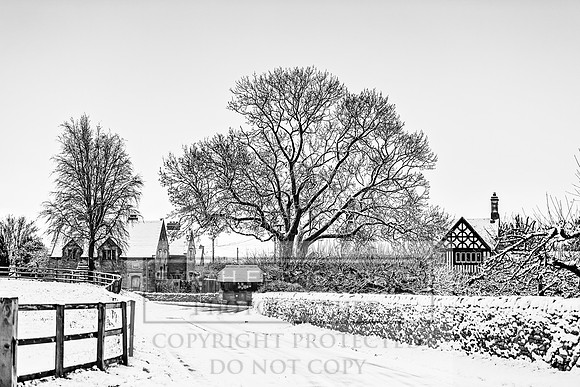 Overbury Snow January 2021-90