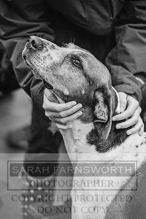 Ludlow 261215-76 bw