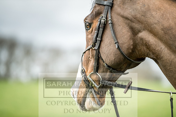 Wynnstay 020309-325