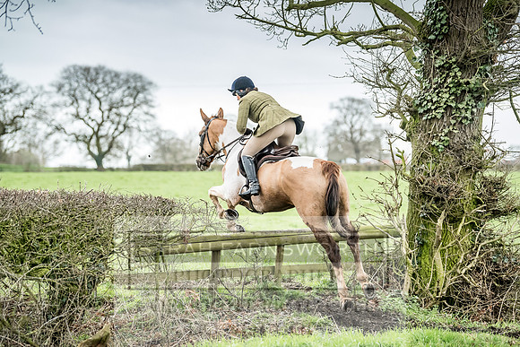 Wynnstay 020309-507