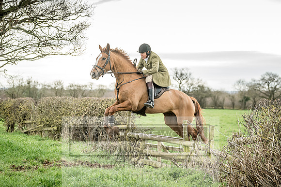 Wynnstay 020309-190