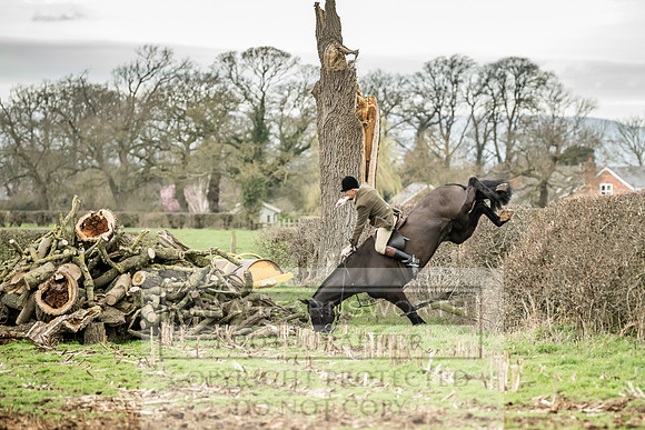 Wynnstay 020309-151