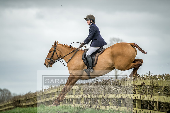 Wynnstay 020309-396
