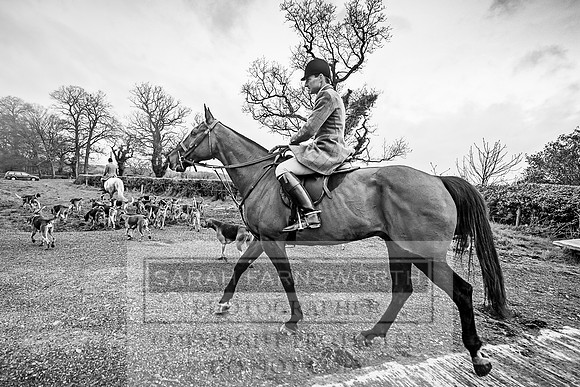 Wynnstay 020309-584