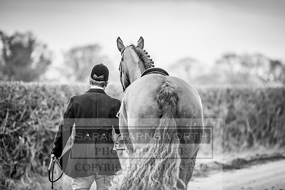 Wynnstay 020309-523