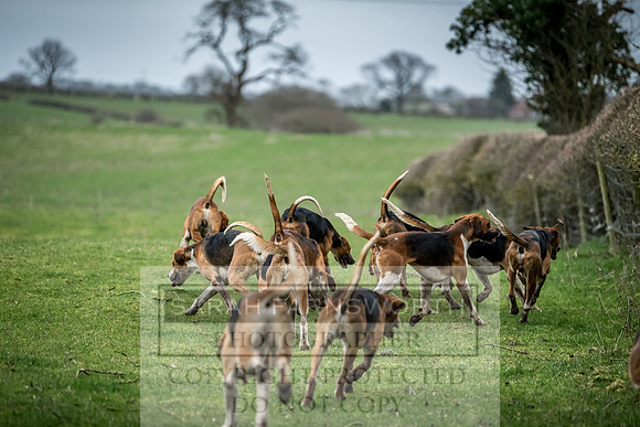 Wynnstay 020309-534
