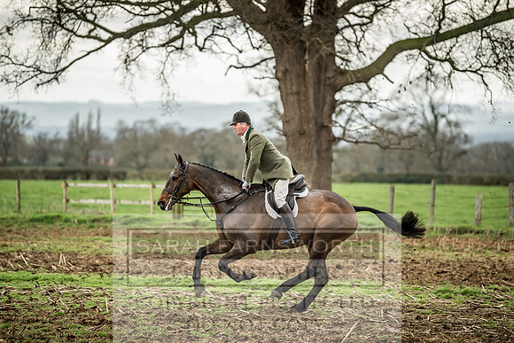 Wynnstay 020309-164