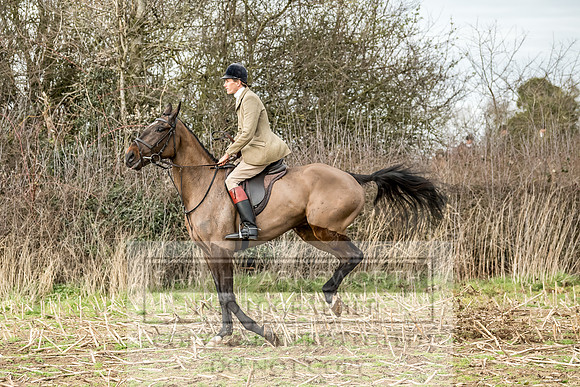 Wynnstay 020309-285